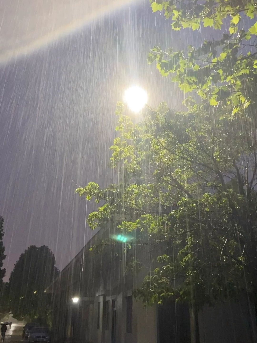 雨是神的烟花 ​