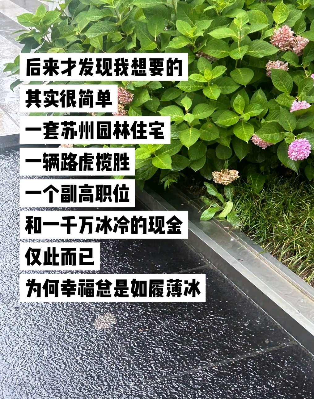 魏无羡：拥有这些东西是很简单啊，我嫁给老公之后，就全都有了💅🏻 ​