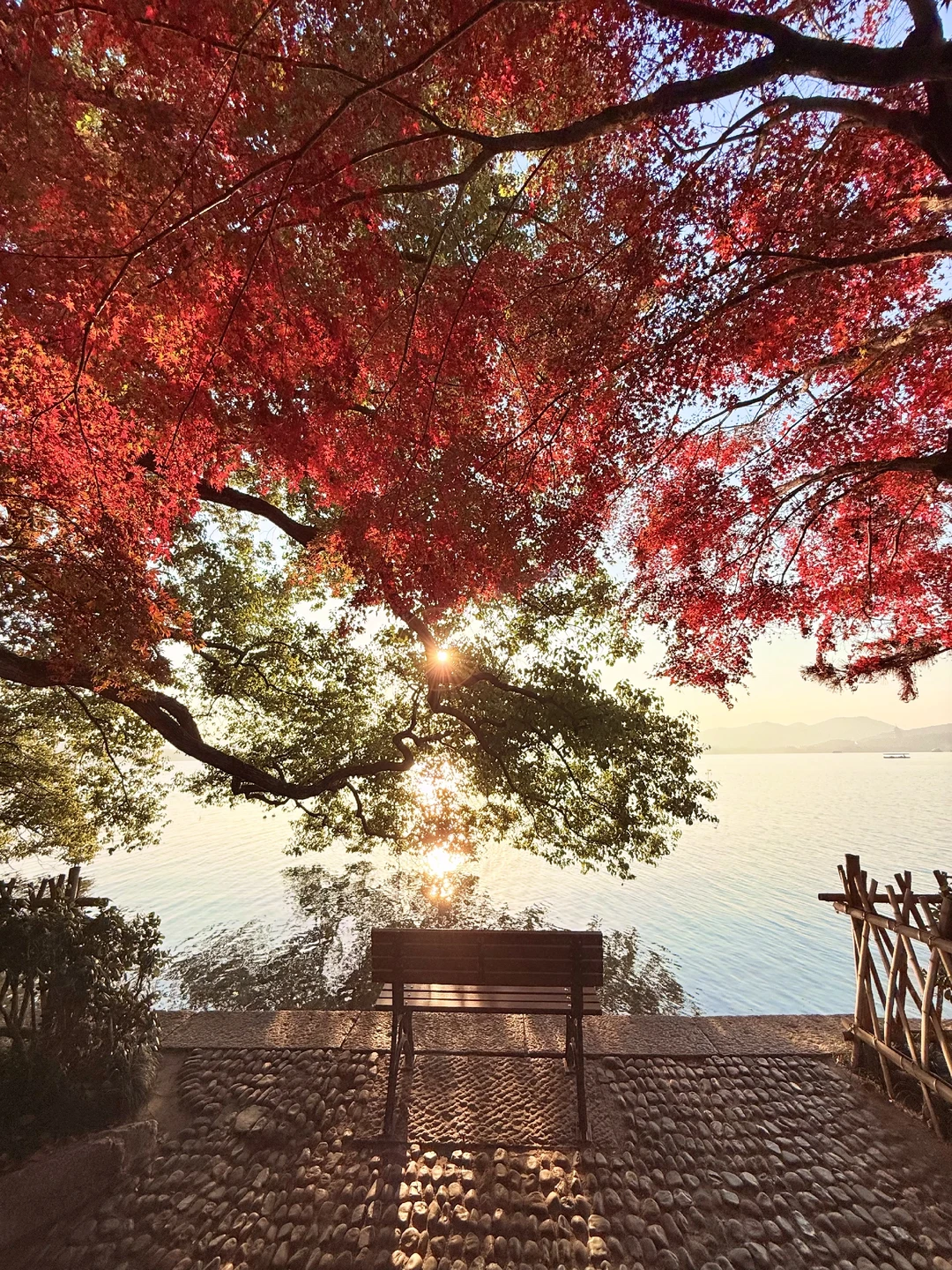 🍁没有人能拒绝杭州的秋天吧！