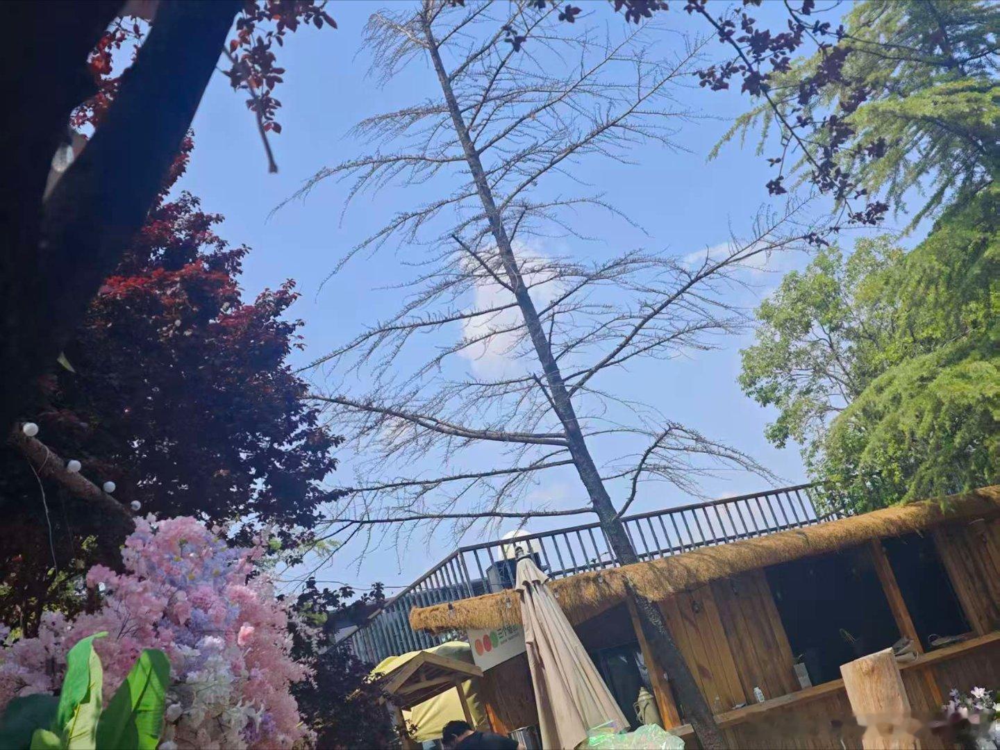 提深蓝SL03已经有一段时间，当初选择它，收获的不只是一台代步座驾，更有幸遇见温暖的深蓝车友会。刚进车友群的时候还有些陌生，遇到用车上的疑惑在群里发问，总会收到车友们热心的解答。从用车避坑小技巧，到日常养护经验，素未谋面的车友，愿意耐心分享自己的真实用车心得，这份善意让我倍感暖心。后 ​