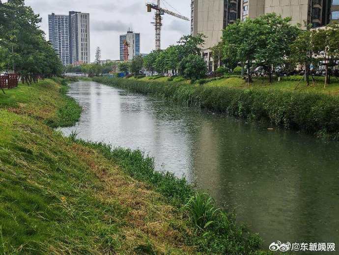 【南沙一河涌水体发黑、夜间恶臭刺鼻扰民！记者实地走访，河涌水质已改善】...