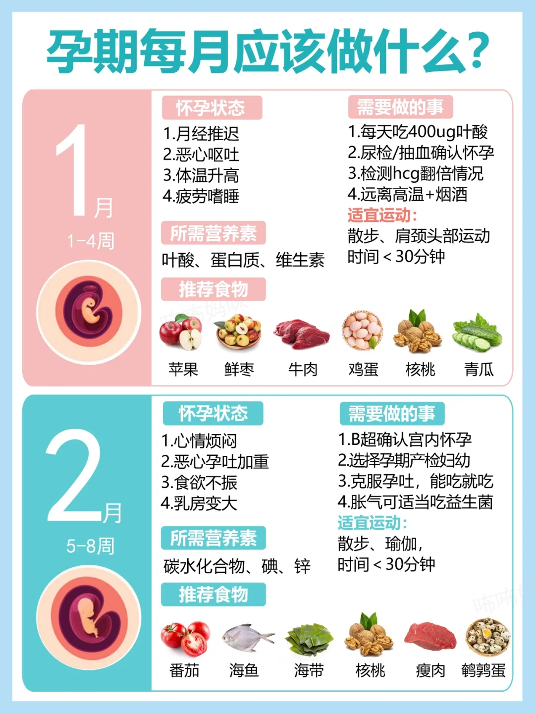 孕期必备🔥孕期每个月要做什么+注意事项