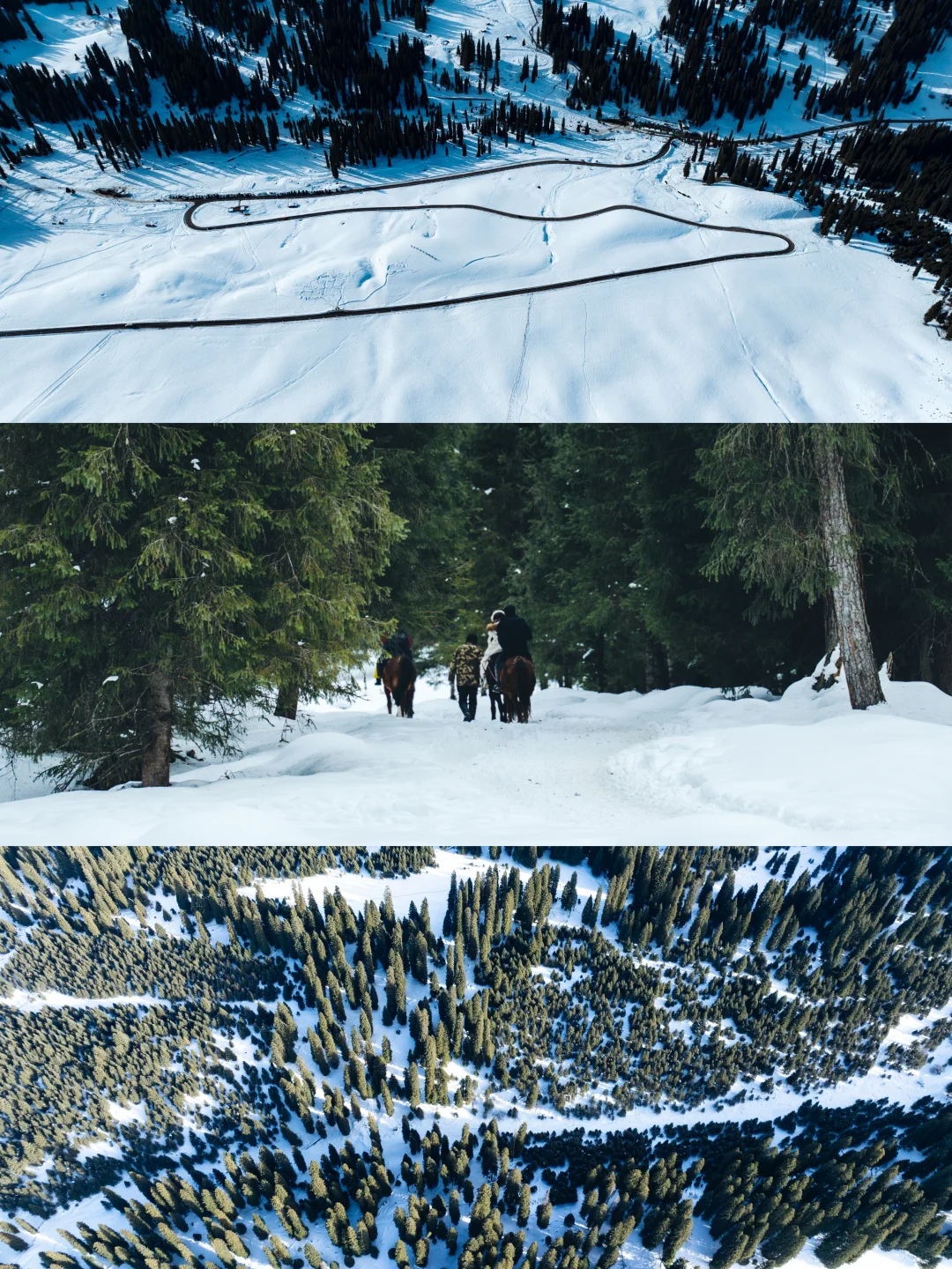 冬日伊犁，冰雪童话与冒险之旅