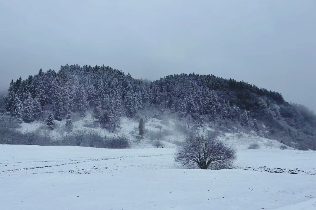 仙女山的雪🌨️