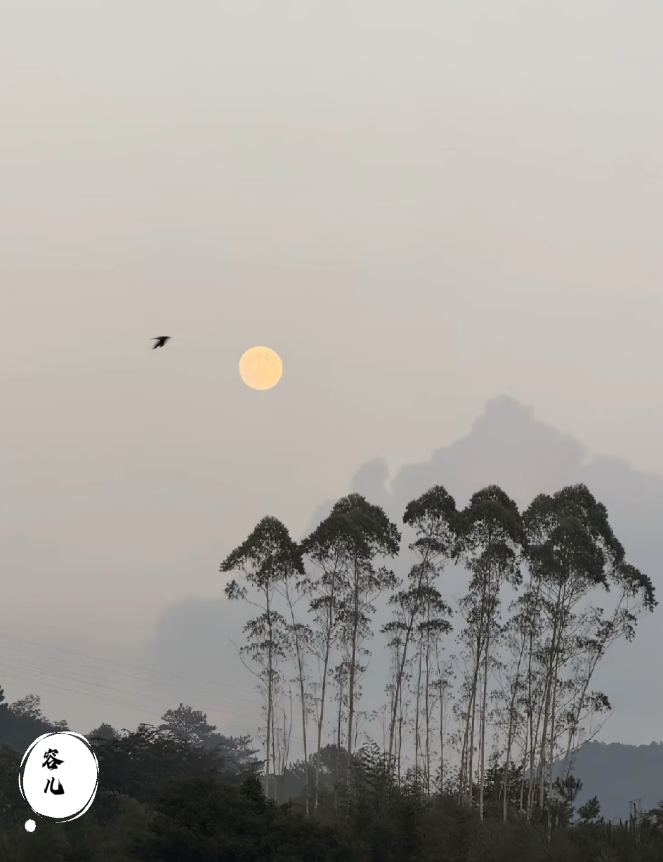 突然发现：
不拼命搞钱，
没钱养老。

太拼命搞钱，
可能就用不着养老。

到底