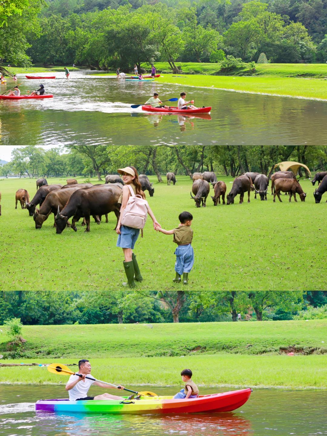 在武汉‼️会N刷的可划船露营的免费大草坪🌿