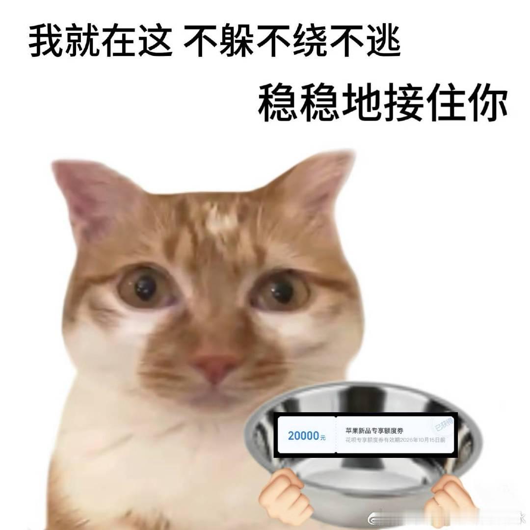 #20点天猫花呗24期免息买新iPhone# 上一个苹果也是分期买的hhhh，今晚再续上 ​