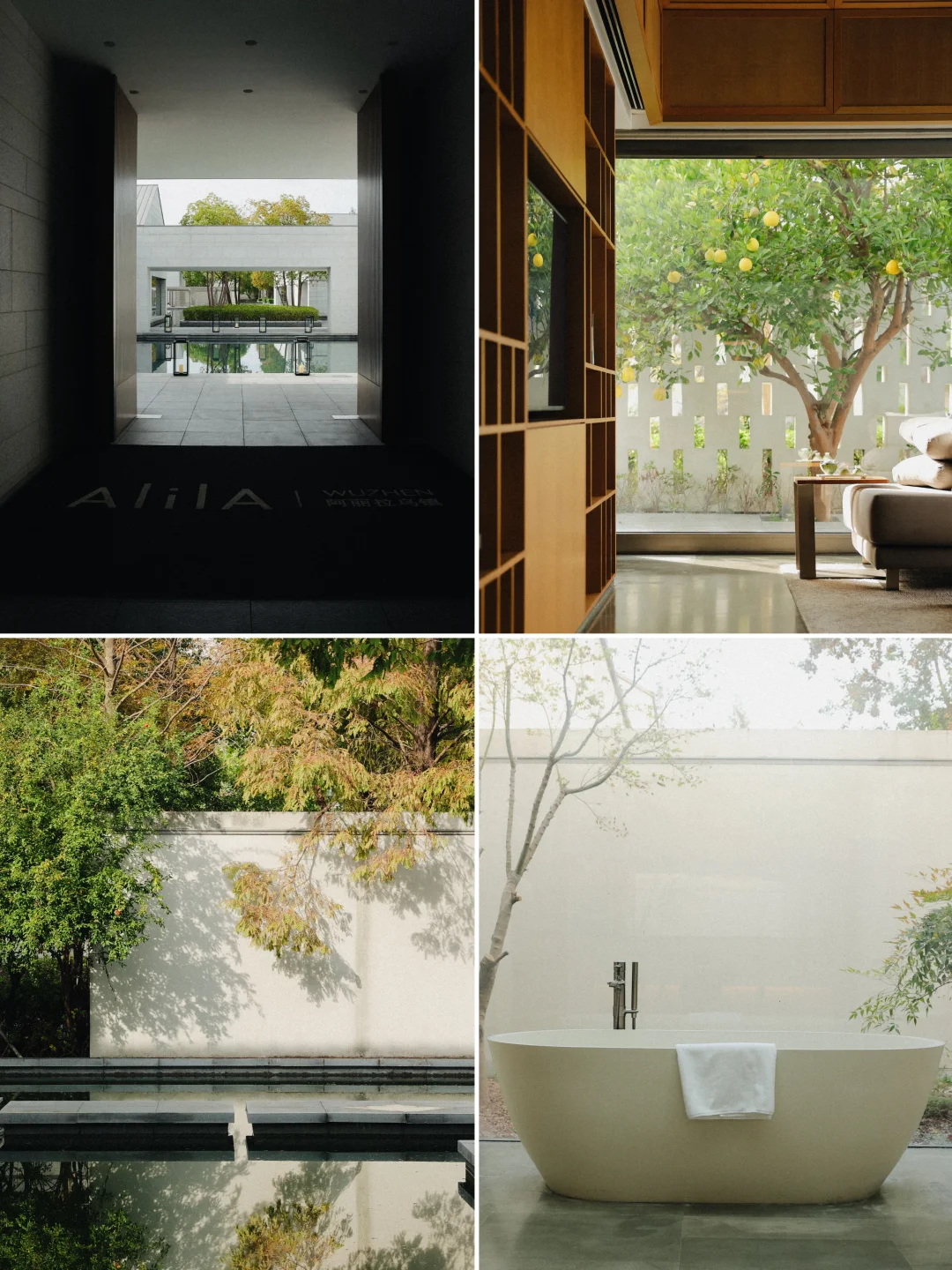 乌镇阿丽拉staycation🌊一座盛大的水乡迷宫