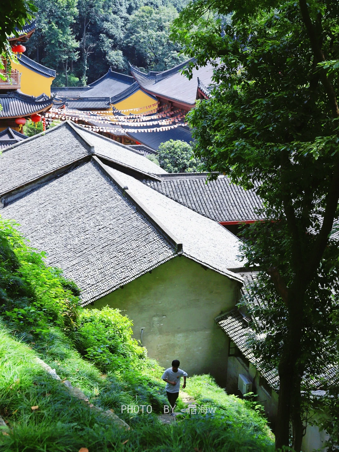 法喜寺背面的大草坡，仿佛闯入动漫里的夏天