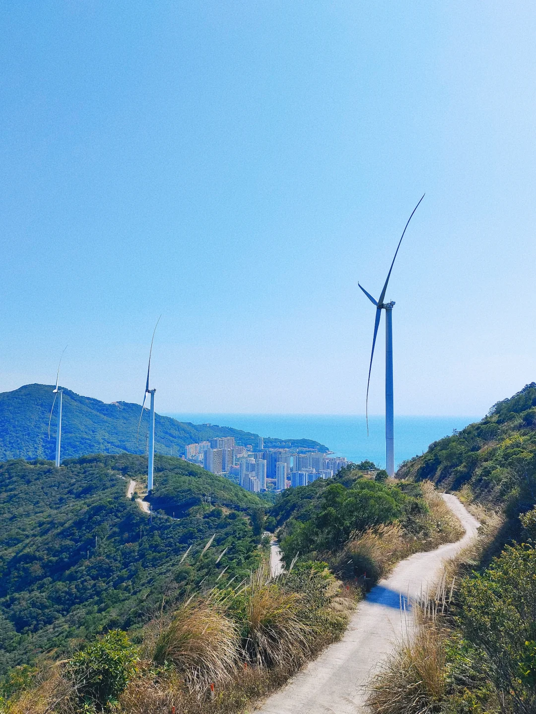 海陵岛大风车避雷