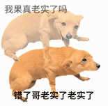 交换表情包