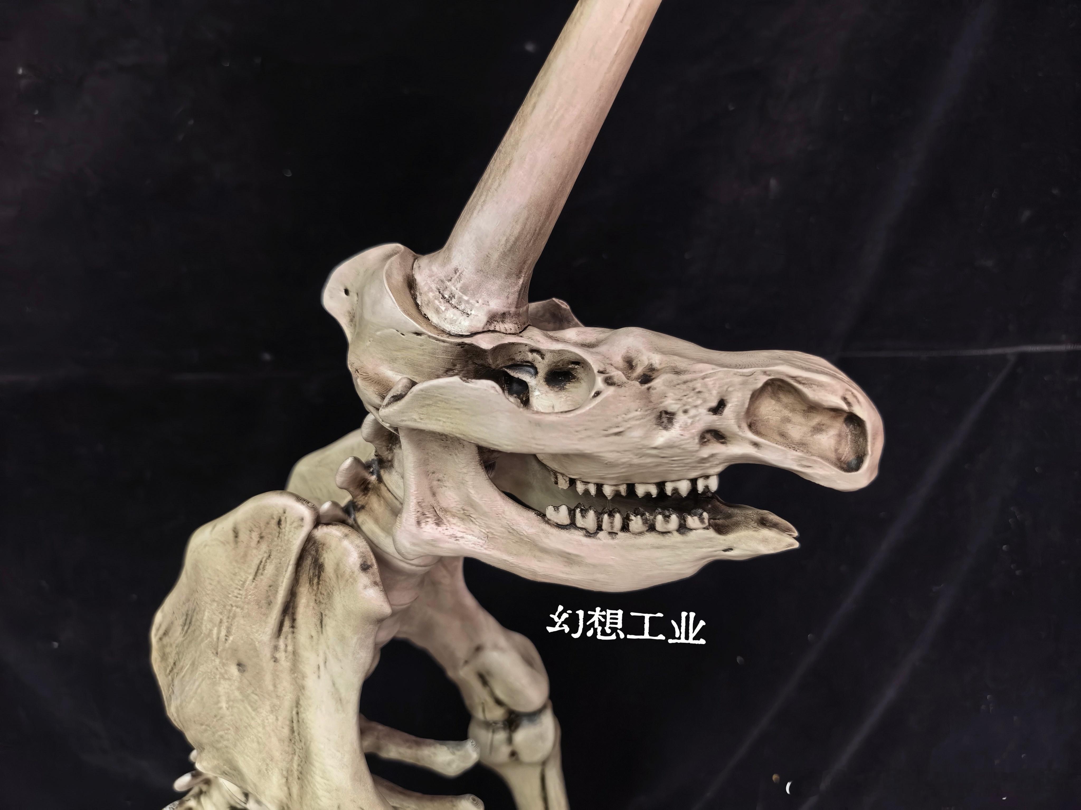 1663年，矿工挖出一批冰河时代混杂的零散骨骼。物理学家奥托·冯·格里克（马德堡半球实验的研究者），花5年把这些不属于同一动物的骨头拼成“独角兽骨架”：披毛犀头骨+猛犸四肢+独角鲸长牙，再搭配其他古兽残骨。完成了这具，历史上颇有争议的【马格德堡独角兽骨架】。而我们参考这件藏品，由建模设计，我们完整还原了这套有意思的拼接骨架，复刻当年博物馆的展出姿态。十月二号、三号上海WF，欢迎来W1-A7-04 幻想工业摊位找我们！wf2026WF2026化石模型WF集结令