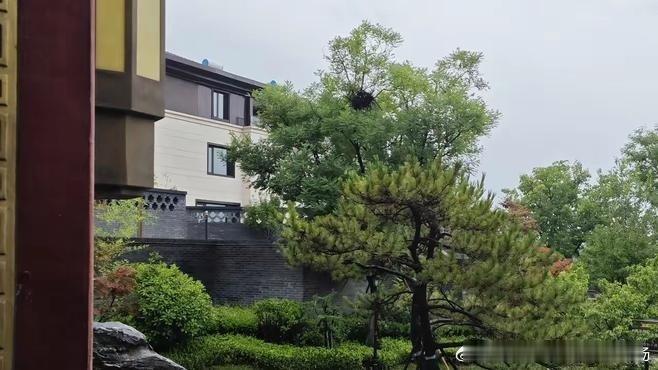 《老中医说： “老死的人很少很少，100个人中能有1个都不错了。真正的善终，不痛不痒，不住院不开刀不插》柔柔黑曼巴在百度发表了新动态 ​