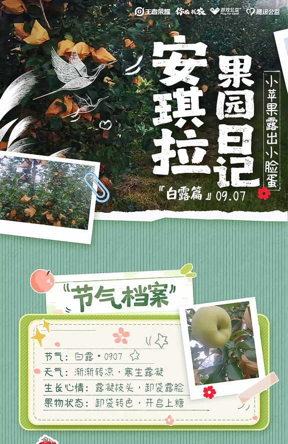 安琪拉来信啦！秦脆宝宝们快露出红脸蛋咯~