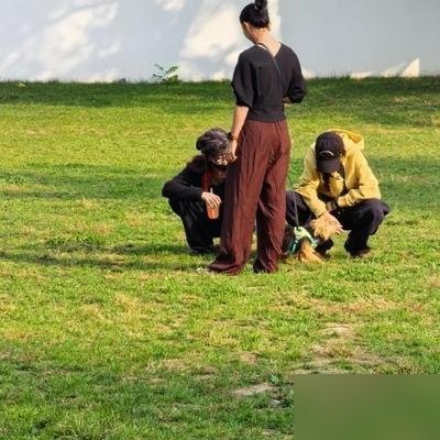 奥森公园，窦靖童和宋妍霏又被拍了，十指紧扣遛狗，压根没想藏。
俩人穿着大裤衩拖鞋，牵着狗慢悠悠晃，跟小区里随便哪对儿小情侣没区别。旁边跑步的大爷都没多看一眼。
从2023年拍《她的生存之道》认识，到现在三年了。这中间窦靖童“状况外”巡演从国内开到巴黎，宋妍霏芭莎红毯该走也走。各忙各的，回来照样一