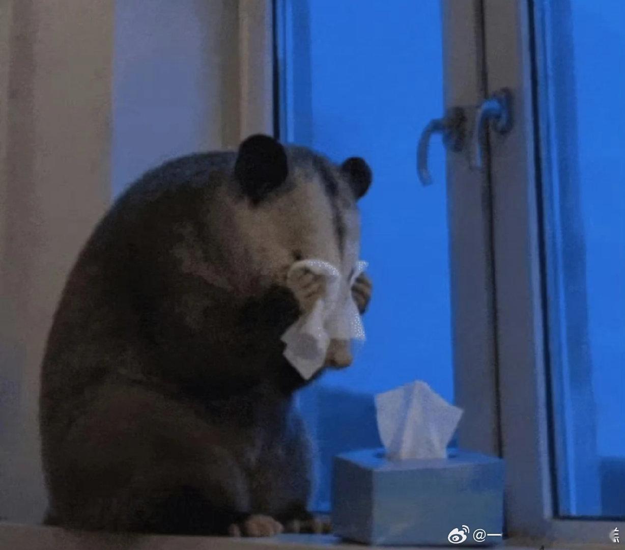 人要是倒霉真是喝凉水都能塞牙
除了学校就是回家
还是电动车通勤
上次坐地铁还是一礼拜前
身边也没人发烧生病
突然就新冠了
还是第三次阳
马上还要连续考试面试
真服了 ​