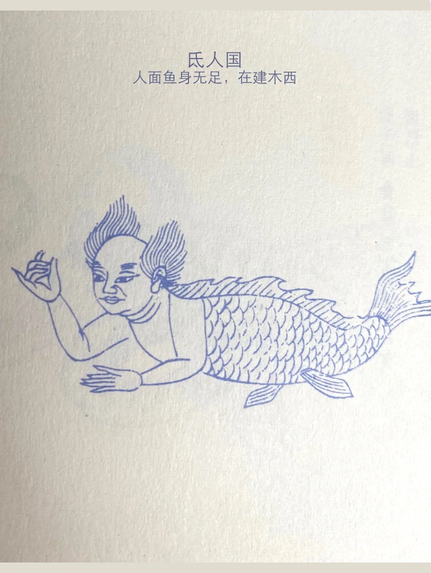 热门IP里的顶流角色鲛人到底长啥样？🧜‍♀️