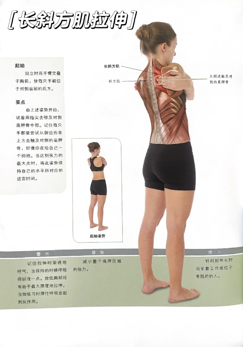 每天3分钟拉伸斜方肌