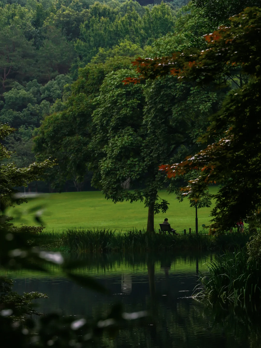 答应我，离开杭州前一定要去一次太子湾