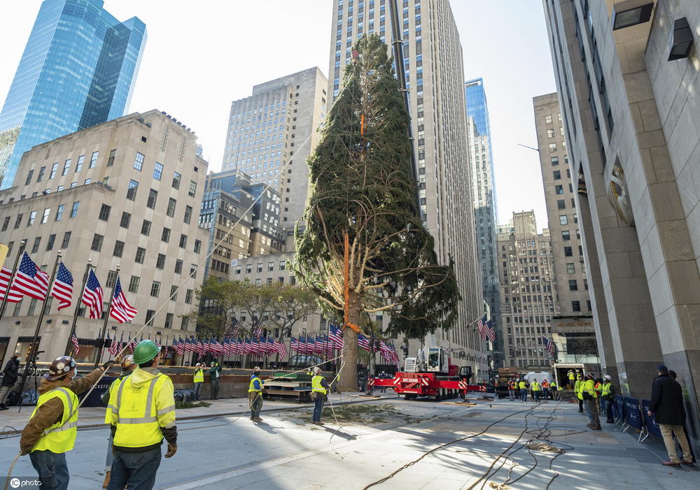 美國紐約洛克菲勒中心年度聖誕樹開始裝飾-圖8