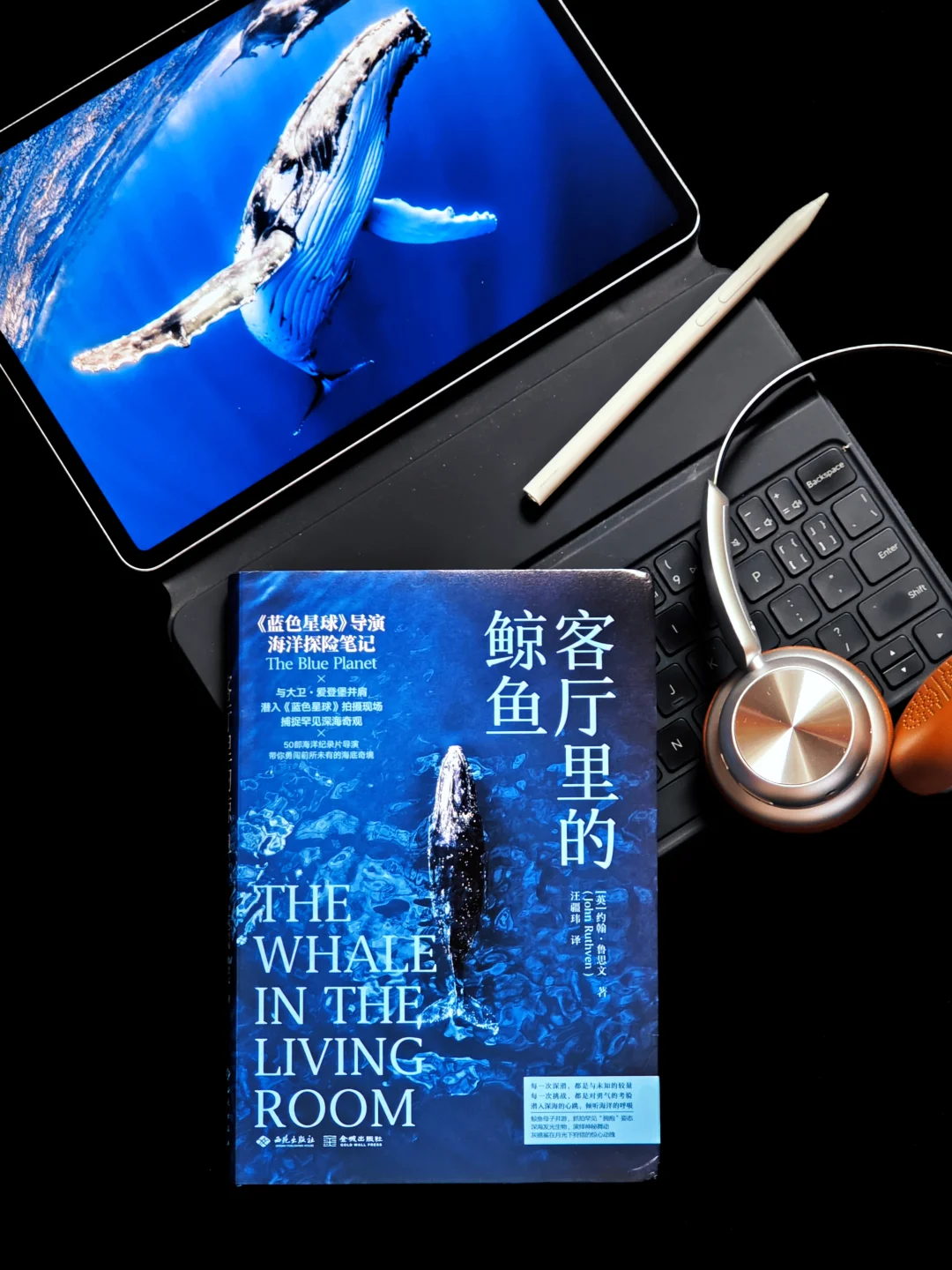 震撼！《蓝色星球》幕后故事竟然让人破防了