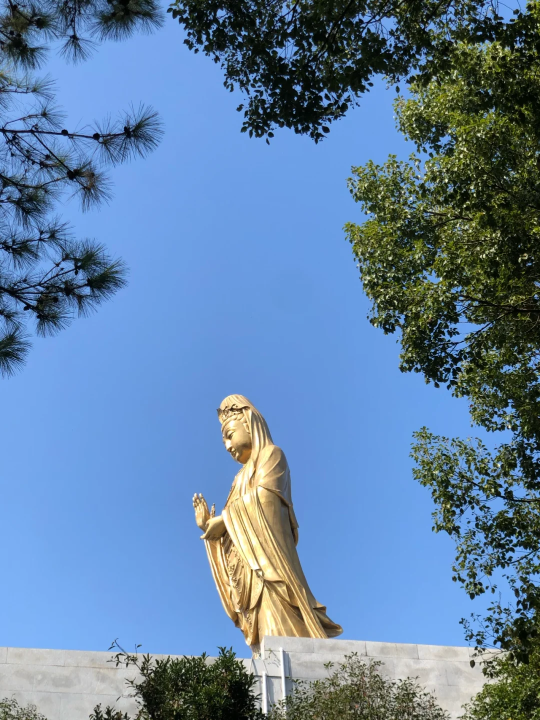 一年一度普陀山 保姆级行程攻略