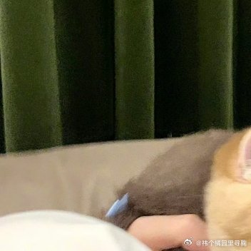 #鞠婧祎[超话]# jjy#鞠婧祎曾舜晞 七星彩# jjy#曝鞠婧祎七星彩定女选男# jjy#鞠婧祎天使还是魔鬼我自有判断# 

你就像一块璞玉  不识货的人说不值钱 懂的人说举世无双

​