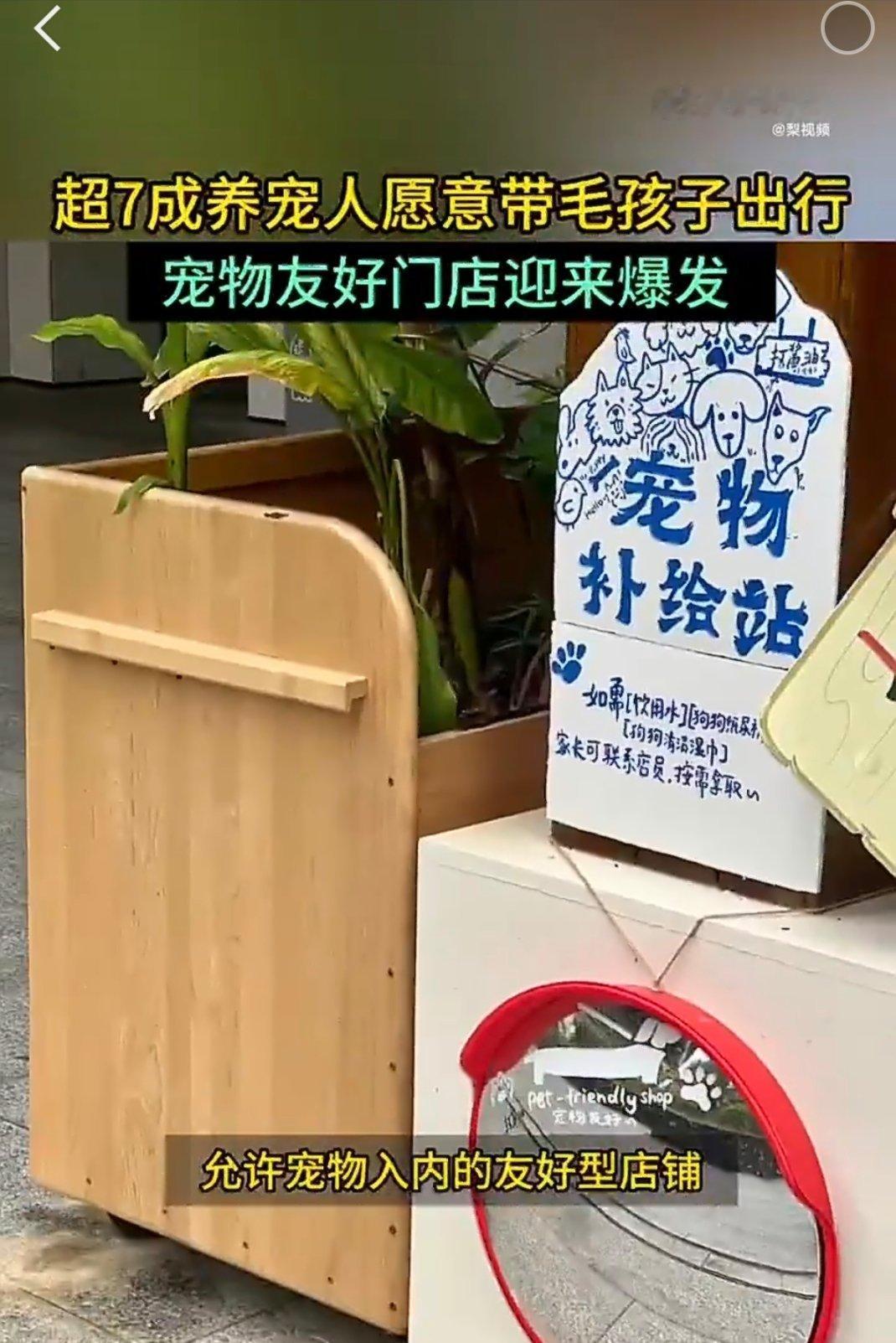 毛孩子早就等同于家人。自然会想要多带着它们出门看看外面的世界，减少独...