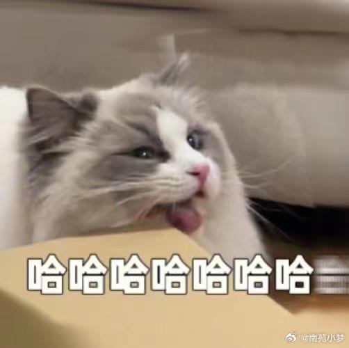 #上海人开始体验机器狗拉车了#
机器狗拉车这个名场面，在上海外滩大会上演，有趣又有科技感，看完觉得未来已经不远了。 ​