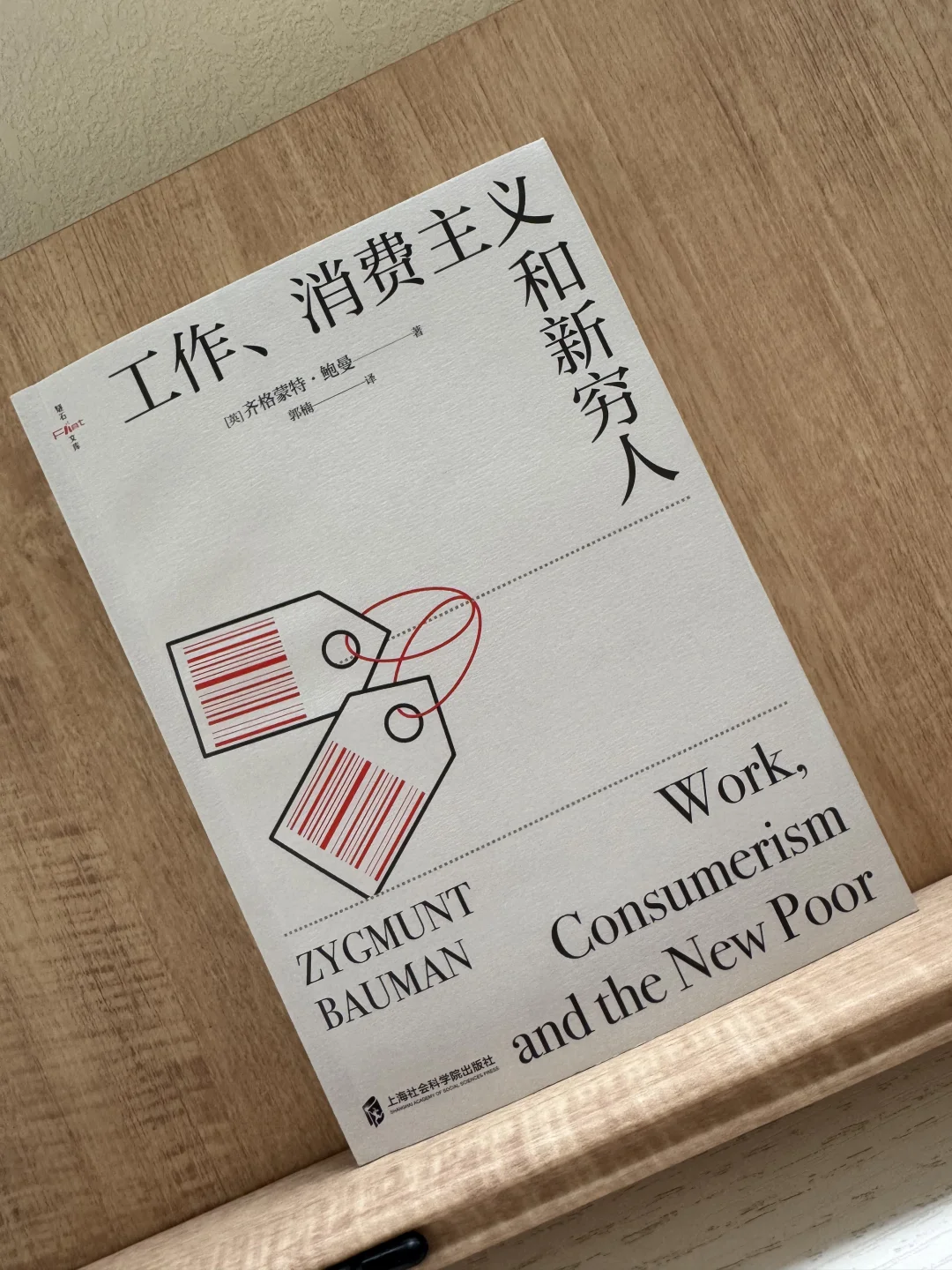 从“失业者”到“废弃物”：消费社会的残酷真相