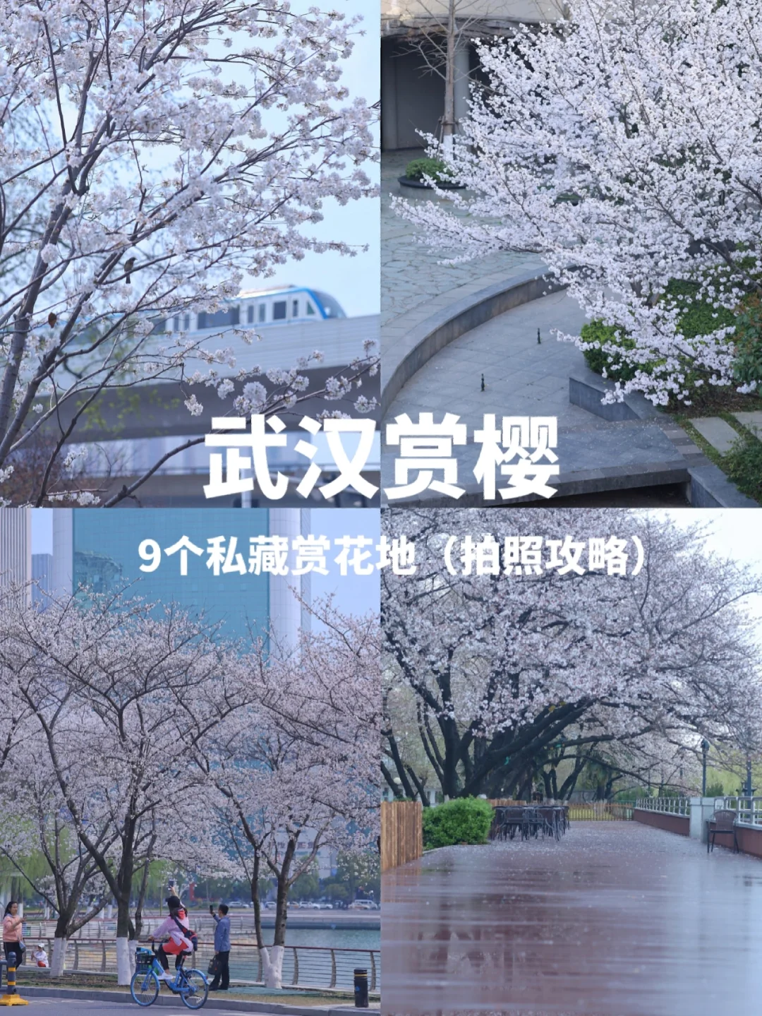 武汉最全赏樱地图/9大赏花地承包浪漫春天❗