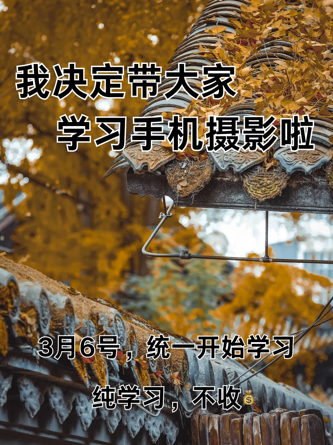 我决定带大家学习手机摄影啦！！