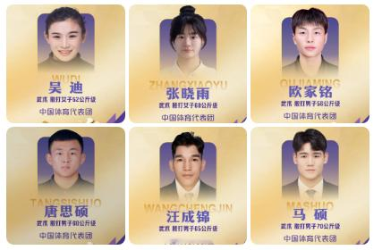 全胜！中国散打55分钟批发6金。
这么宏大的场面，可能只在亚运会上看得到吧？刚刚，在亚运会散打赛场，中国队只用了55分钟，连续获得6枚金牌，而且是6场决赛全胜，无一失手。他们是：
女子52公斤级，吴迪2-0战胜对手夺金；
女子60公斤级，张晓雨2-0战胜对手夺金；
男子56公斤级，欧家铭2-0战胜对