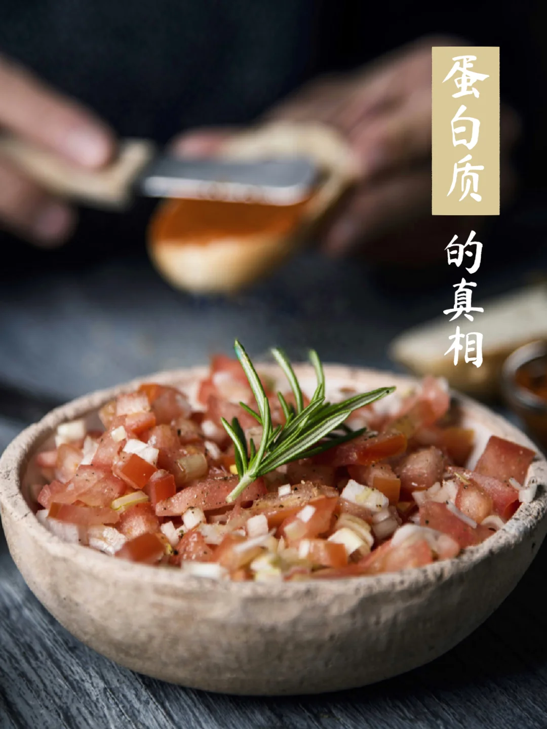 优质的蛋白质，来自于哪里？