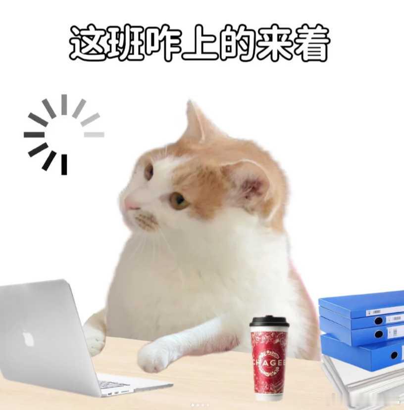 预感长假过后回归岗位肯定会手忙脚乱😣趁放假前的间隙，让豆包连上wps帮我搞定遗留工作，复工之后就简单多了 #这个假期我就这样支配豆包##你玩你的，有豆老师在# ​
