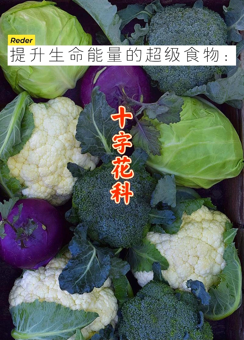 宇宙疗愈食物之：十字花科类蔬菜【上】