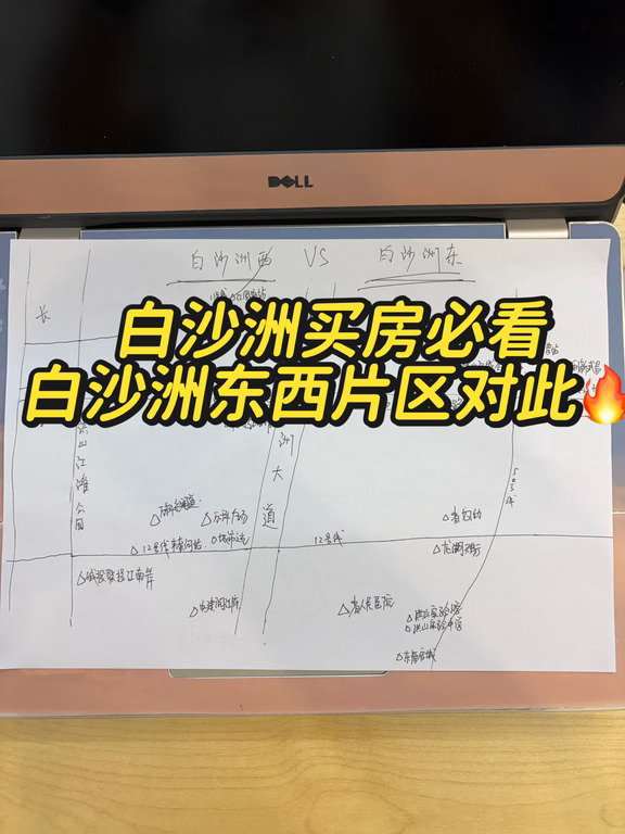 白沙洲东西片区🔥，到底怎么选？