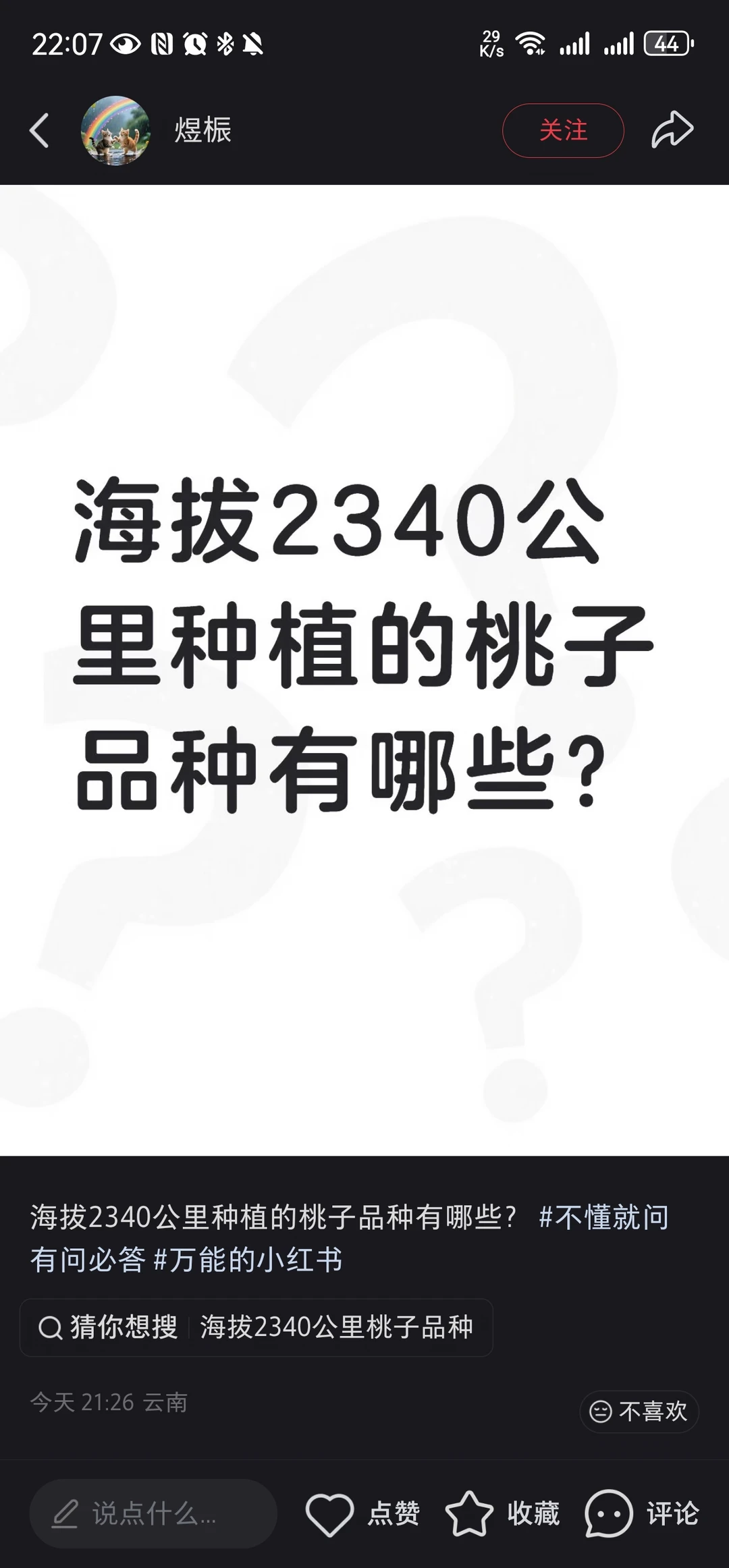 这是地球语言吗？字都认识，合一块儿看不懂
