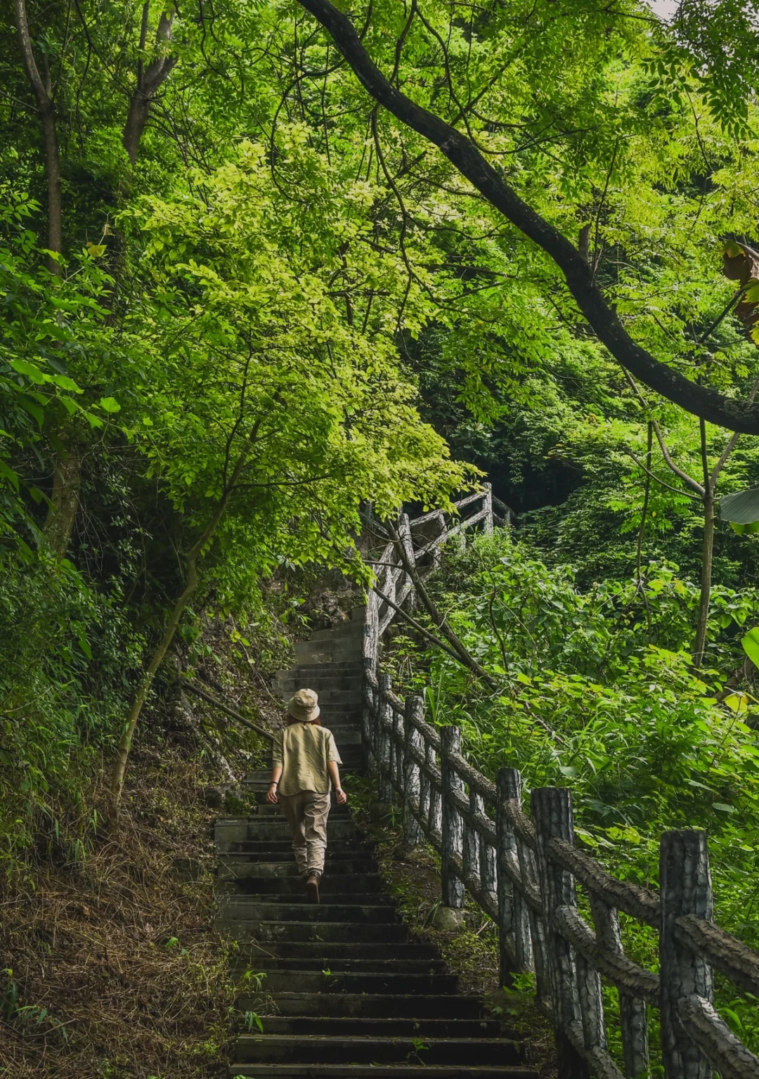 15分钟快速登顶Get超美山景｜上林霞客桃源