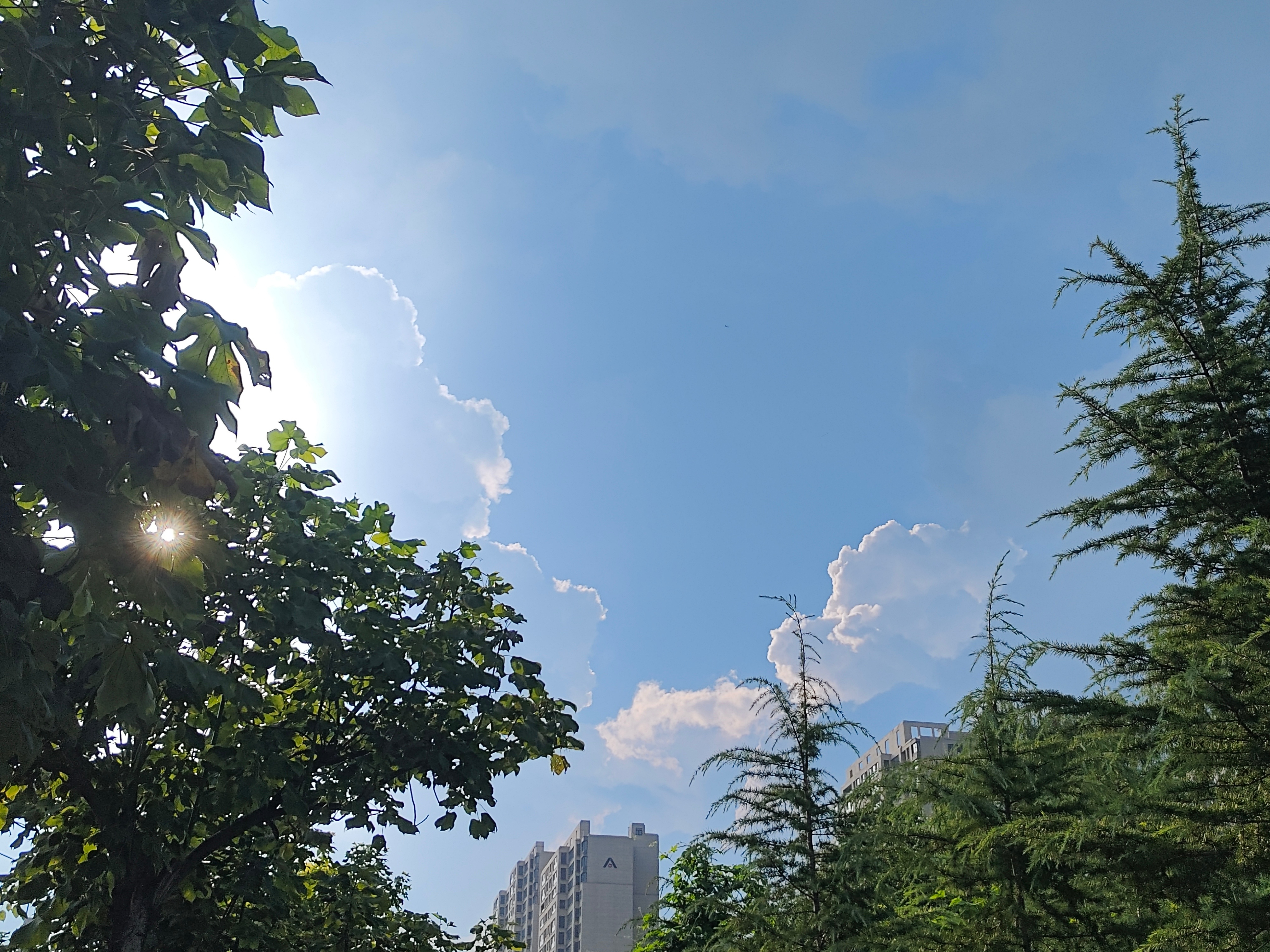 特别好看的云，但是拍不出来。是在去酒店的路上拍的，当时显示高铁站跟酒店只有1公里，就想着不打车了，骑一个共享电动车吧，结果高铁站禁停，他爹的甚至连一辆共享单车都没有，我就想着1公里也不是很远，我就走过去吧，谁知道打开地图一看有两公里，于是在太阳底下要走两公里，但是天气特别的好，天空 ​