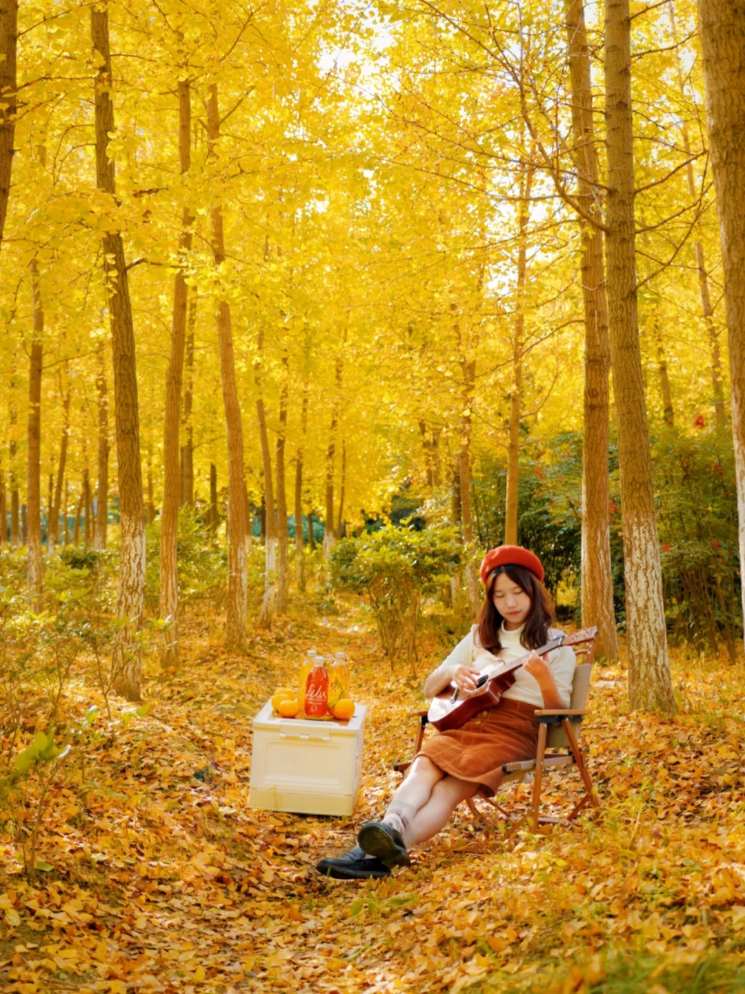 秋日童话🍂，藏在杭州市区的小众银杏林‼️