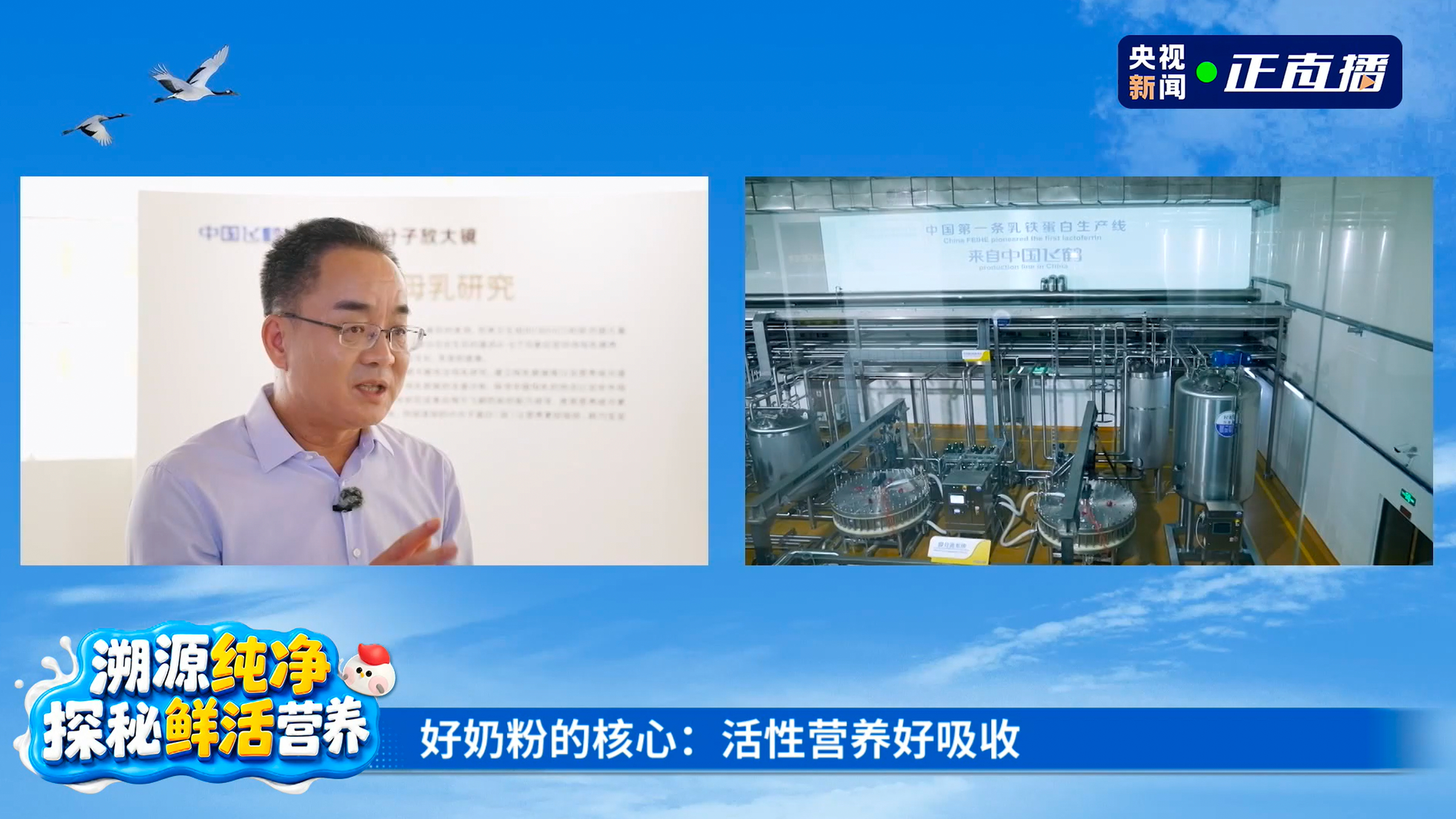 飞鹤溯源季飞鹤鲜活营养更安全本来是被唐艺昕刘畊宏浪姐披哥同台吸引去看的视频，结果一提到选奶粉就忍不住切换到了妈妈模式。当妈这么多年，踩过的选奶粉坑真的一箩筐！以前买奶总钻牛角尖，觉得配料表越长、各种营养素标注数字越高，奶粉就越好，看完飞鹤央视溯源直播才明白完全不是这么回事。母乳讲究的是均衡搭配，不是营养一味叠加。普通牛奶的蛋白比例和母乳就差很多，国外妈妈的母乳营养配比也跟我们不一样，直接照搬根本不适合中国小宝宝。飞鹤很早就专门研究咱们国人的母乳，跑遍全国不同地域收集样本，摸清了适合本土宝宝的营养比例。启萃、迹萃里面2500多种乳源蛋白，含量配比都尽量贴近母乳，还专门研究母乳里的HMO（母乳低聚糖，保护宝宝肠道的），配方更贴合中国宝宝发育需求。光配方合适也不够，原料新鲜才留得住营养活性。他们有自己的全产业链，鲜奶品质更稳定，短时间内就做成奶粉，再加上他们是一次性从鲜奶里低温物理提取各类营养，能保护蛋白活性不被破坏，营养更好地被宝宝吸收。像是乳铁蛋白、α-乳白蛋白、酪蛋白磷酸肽这些高端...