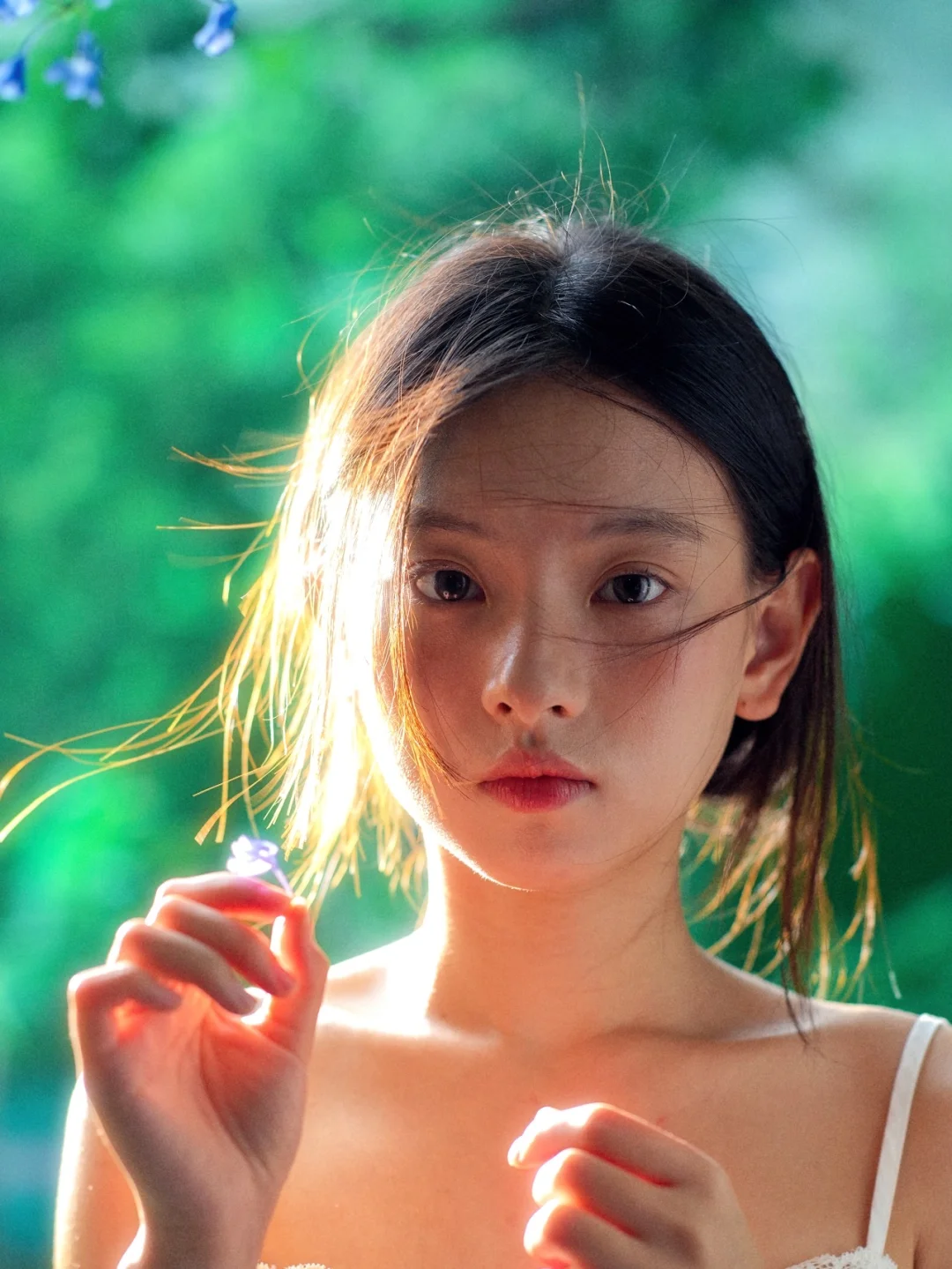 无尽夏🍃人类为何如此迷恋绿色
