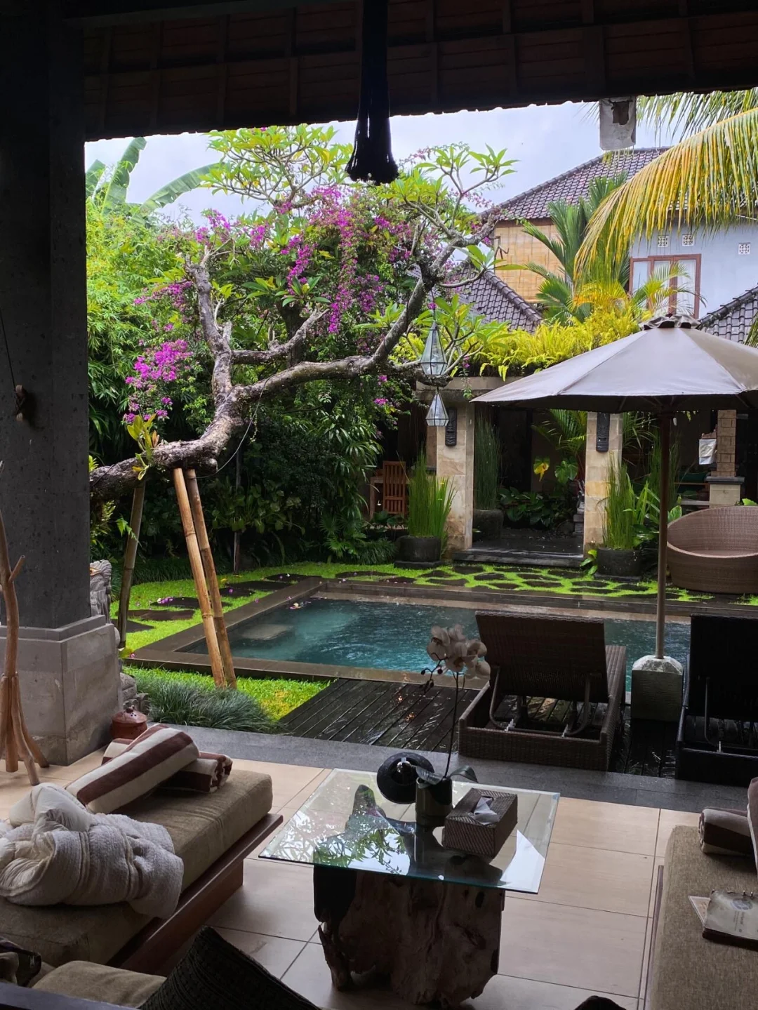 巴厘岛乌布🐠住到热带雨林中的dream house
