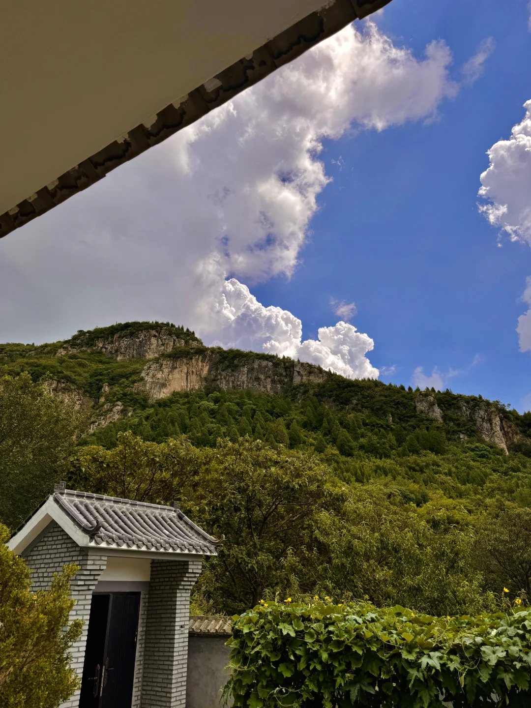 中医世家女分享：女子养生之应春气，疏肝木🌳