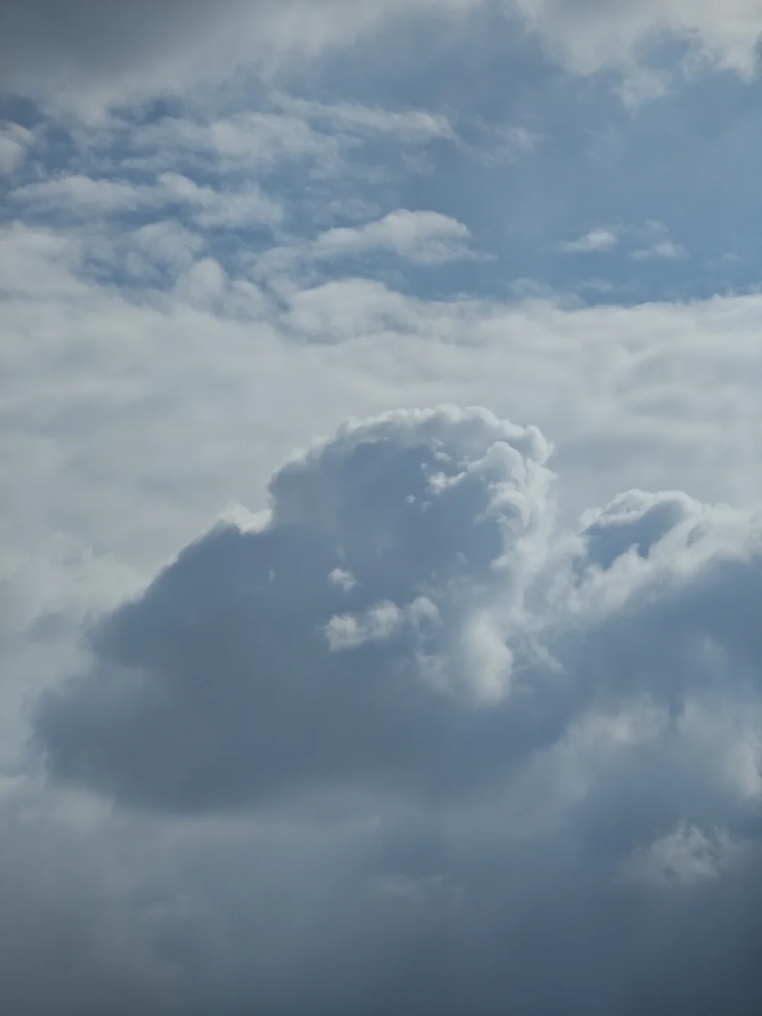 这朵云像假的一样