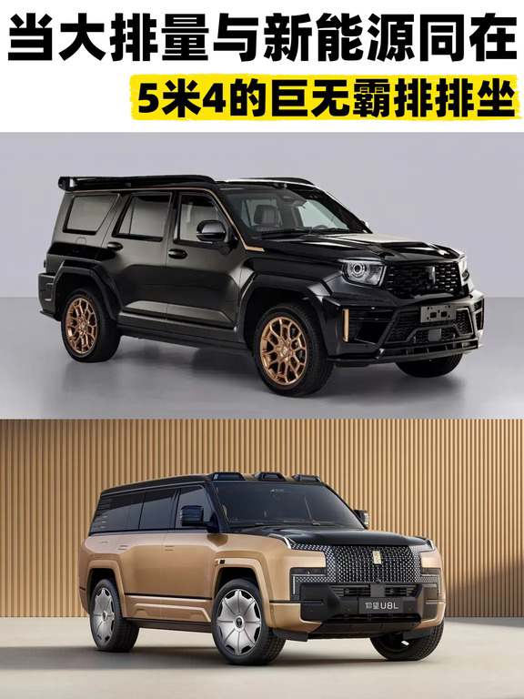 大排量和高科技 你愿意把票投给谁？