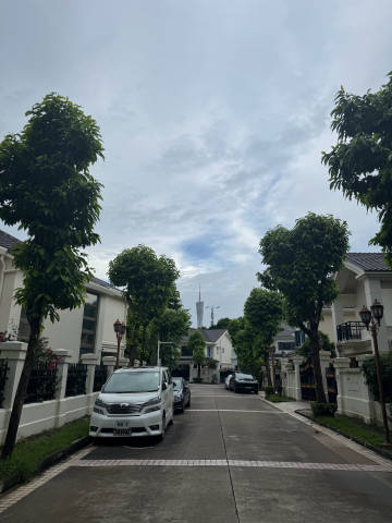 雨后🌧️二沙岛📷