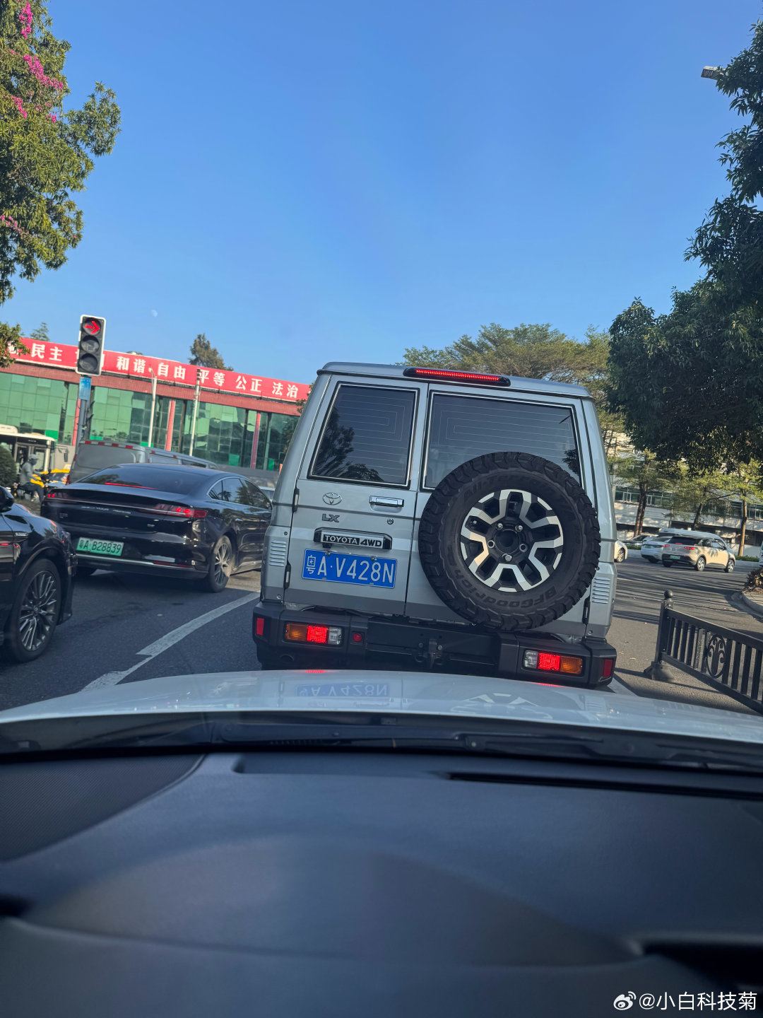 这么精神，难得！#丰田##兰德酷路泽# ​