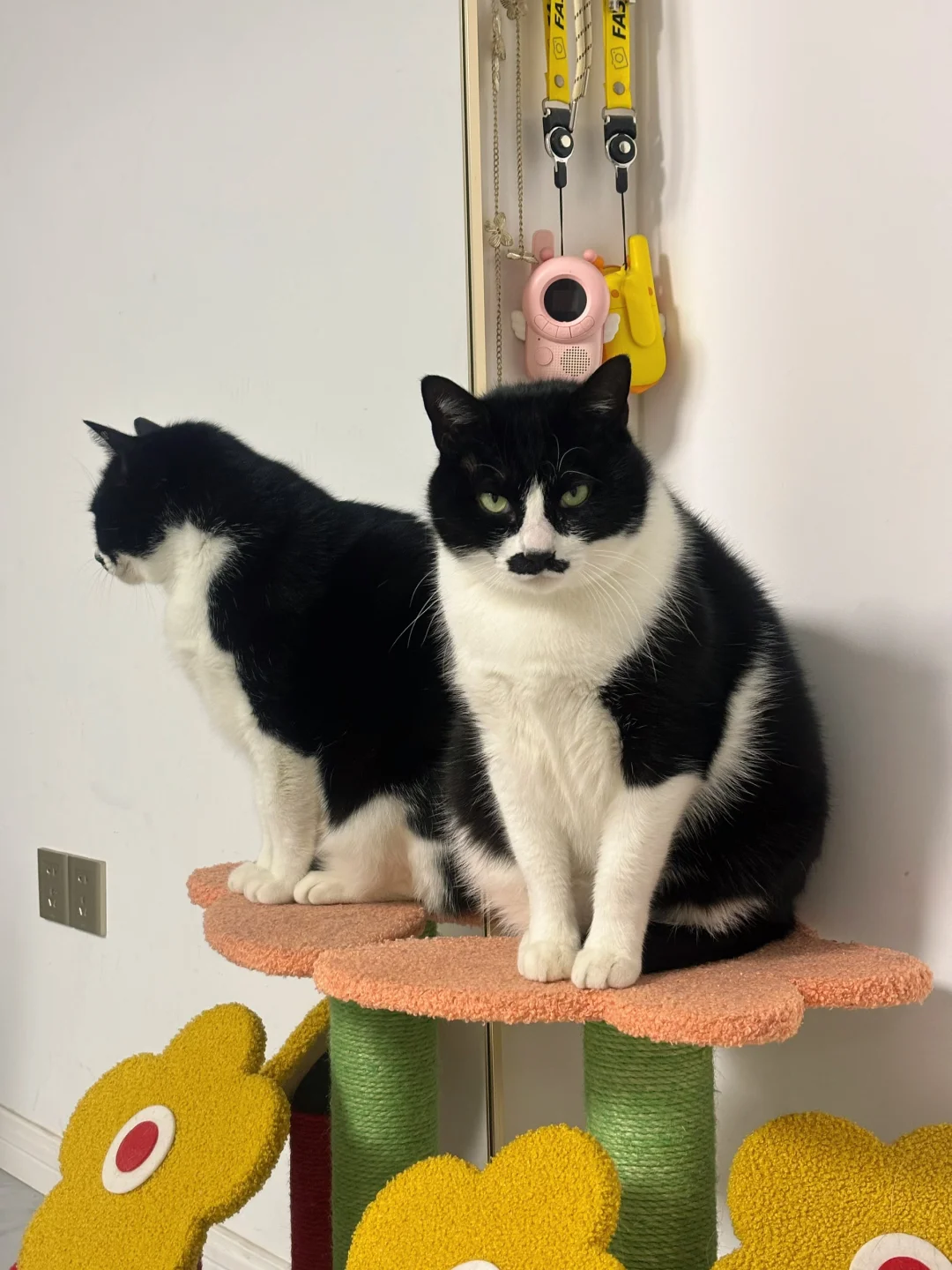 往这一站就是兵！